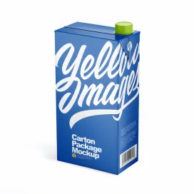 Carton Package